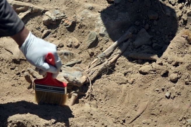 سێ ڕووفات لە سنووری شنگال دۆزرانەوە