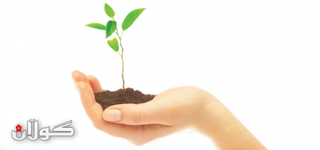  گۆڕانكارییە ئاووهەواییەكان ڕووەكەكانیشی باریكتر كردوون