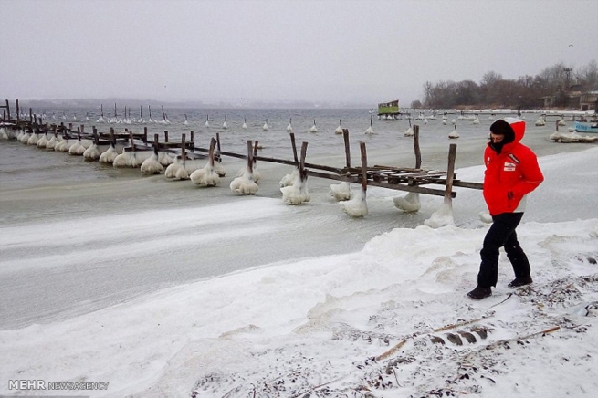 سەرمای کەم وێنە لە ئەوروپا چەند کەسی کوشت