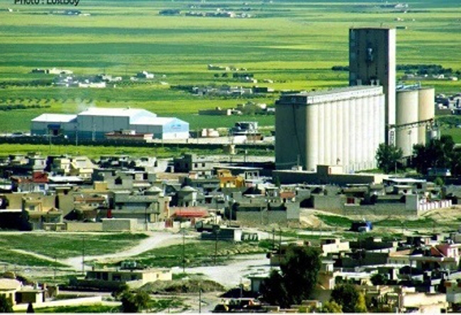 حەیدەر شەشۆ: خەلكێ‌ شنگال باوەری نەماینە ڤەگەرنە شنگال
