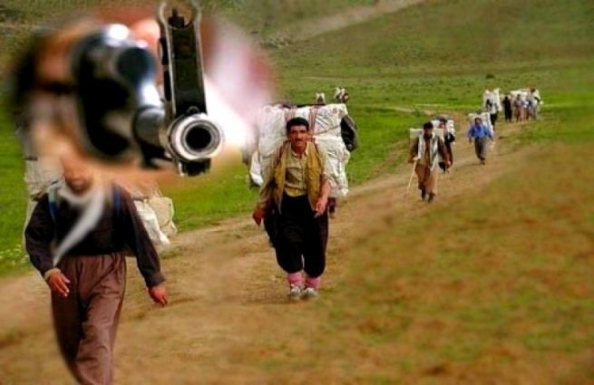  شنۆ.. دوو کۆڵبەری دیکە بوونە قوربانی 