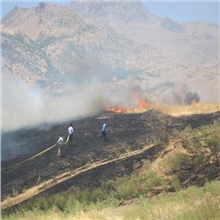 ئاگرێک لە چیاکانی سنوری سکتان دەکەوێتەوە 