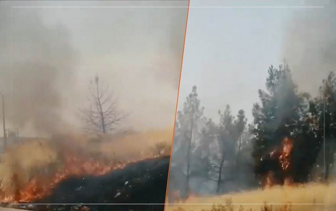 بەرگریی شارستانیی سلێمانی: ڤیدیۆی ئاگرکەوتنەوە لە سنەوبەرەکانی تاسڵوجە کۆنە