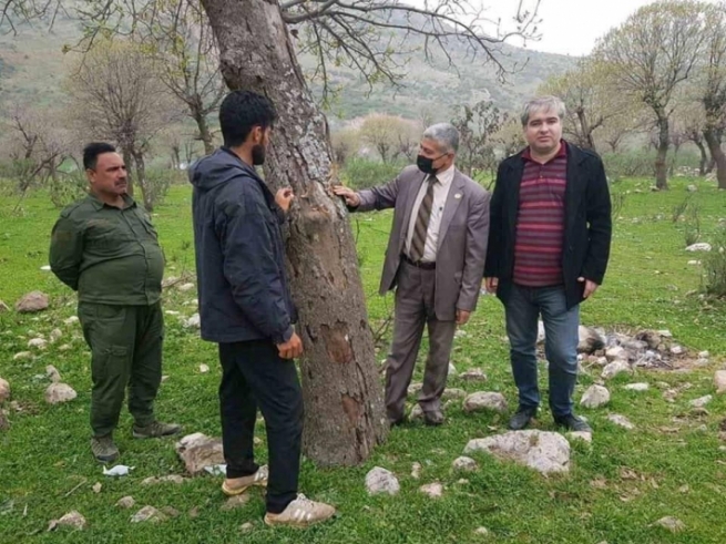 چەند سمۆرەیەک بۆ نێو سروشت گەڕێندرانەوە