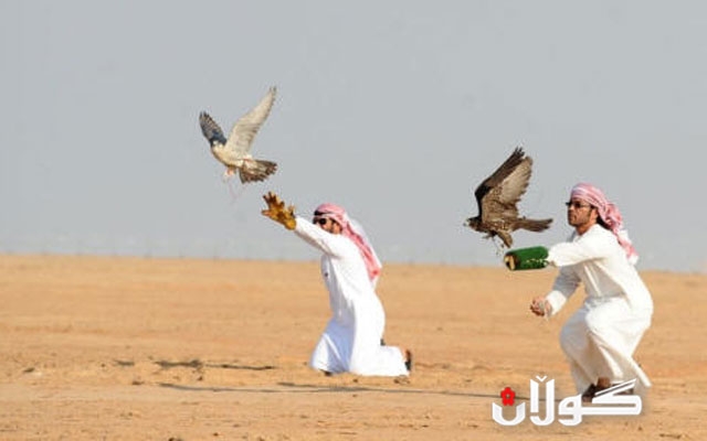 له‌به‌رامبه‌ر شێخ نه‌مر، راوچییه‌ قه‌ته‌رییه‌كان كوژران