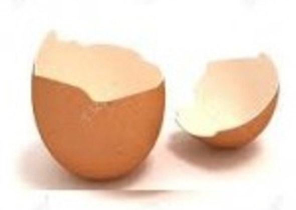 توێکلی هێلکە فڕێ مەدەن کارەبای لێ دروستدەکرێ