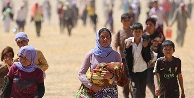 مەحما خەلیل: شانەی نوستووی تیرۆر لە شنگال دروست بوونە