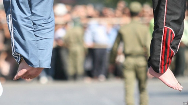29٪ی گۆی گشتیی لەسێدارەدراوانی نۆ مانگی ئەمساڵی ئێران کورد بوون