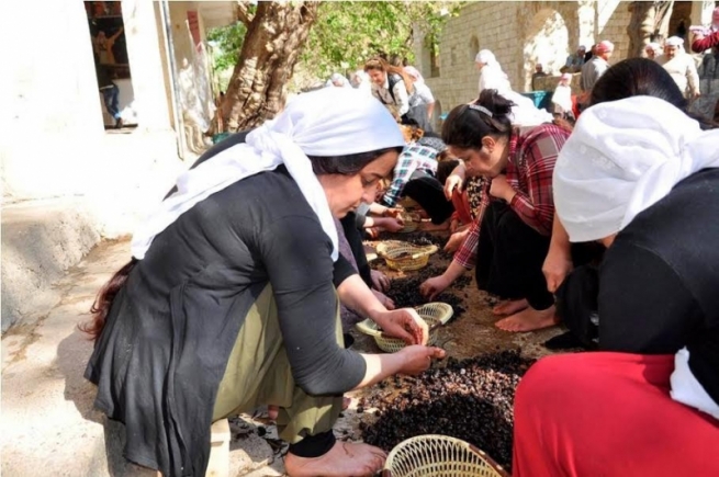  ئێزدیێن عه‌فرین ئاواره‌یێ هه‌رێما كوردستانێ دبن 