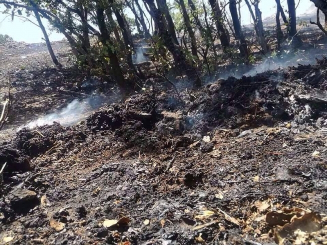 لە سێ‌ ڕۆژدا لە سۆران 19 حاڵەتی ئاگرکەوتنەوە ڕوویان داوە