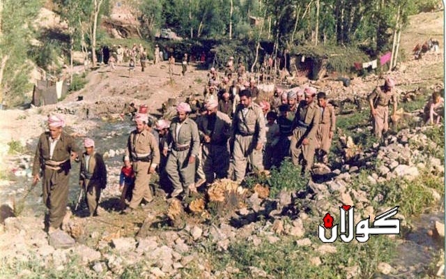 شۆڕشی گوڵان قۆناخی خەباتی بەرەیی و كۆكردنەوەی جیاوازییەكان