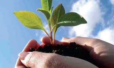 ئاشتی و سەقامگیری وەك كۆڵەگەیەك بۆ بونیادنانەوە و گەشەی ئابووری