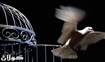 ئەگەر دیموكراتی مانای ئازادی بێت بڕیاردانی مافی چارەنووسیش ڕەنگدانەوەی ئەو ئازادیەیە