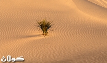 Federalism and Democracy Are Not Growing in Iraq's Sandy Land