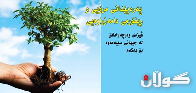 پەرەپێدانی مرۆیی وڕیفۆرمی دامەزراوەیی