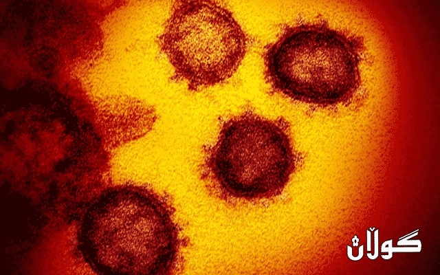 بەرەنگاربونەوەی كۆرۆنا  ئەو شەڕەی دەبێت هەمووان تێیدا براوە بن