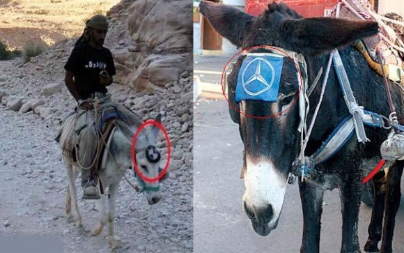 گوێدرێژی مێرسیدس و BMW