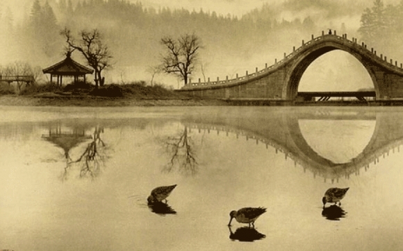 تابلـــــــــــــۆ