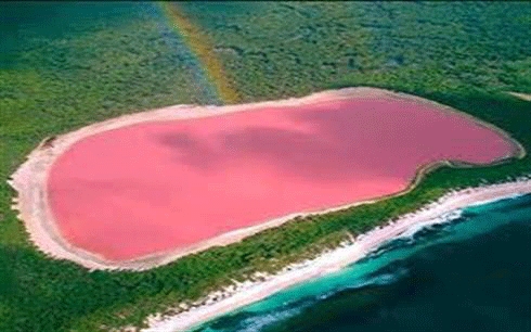 بەبينينی ئەم دەرياچەيە تووشی شۆک دەبيت