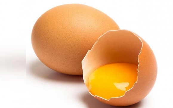 سوودە گرنگەکانی خواردنی هێلکە