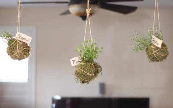 باخچە و گوڵ و گوڵزار لە دیكۆری ماڵەكەتدا