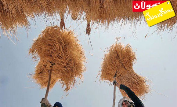 شەنە و بەباكردنی دانەوێڵە!