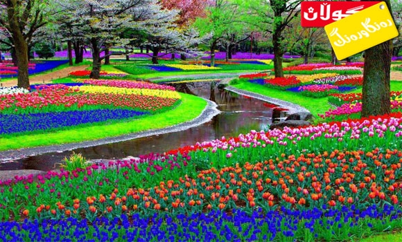 جوانترین پاركی جیهان