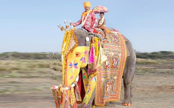 جوانكردنی ئۆتۆمبێل لەكوردستان و رازاندنەوەی فیل لەهیندستان