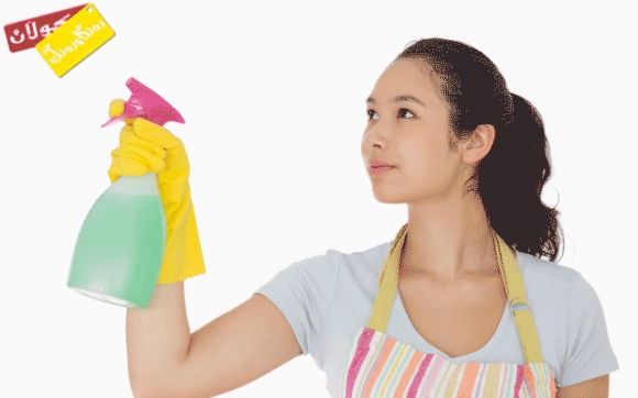 چەند بیرۆكەیەك بۆ پـاكڕاگرتنی ماڵەكەت