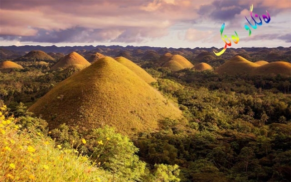 كێوی شیكۆڵاتە