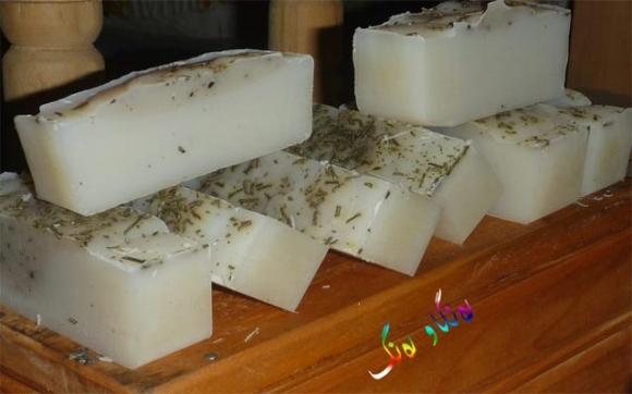 سابوونی كۆن