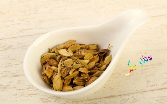 بە سوودەكانی هێل ئاشنا بە