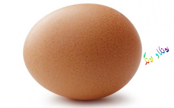 هێلکەیەک لە کتێبی گینس تۆمار کرا.