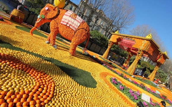 فیستیڤاڵی  لیمۆ و پرتەقاڵ!