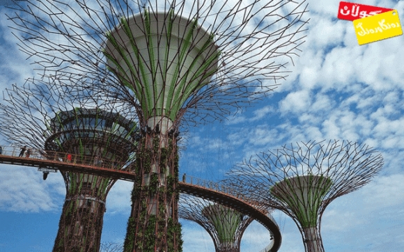 داهاتووی  شێوەی دار و بار