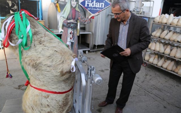 گەورەترین سەركە پەنیر