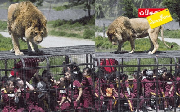 پێچەوانەی ژیان!