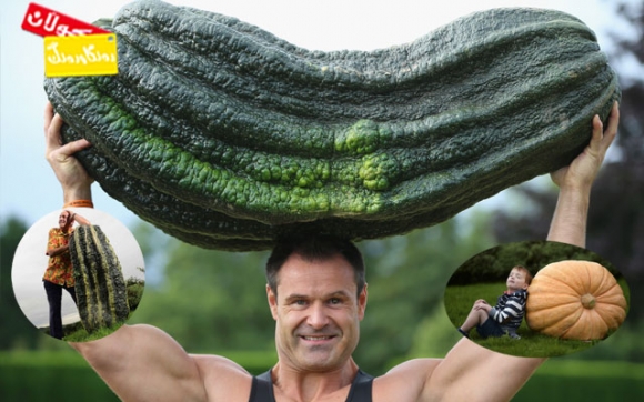 سەوزە و میوە زەبەلاحەكان