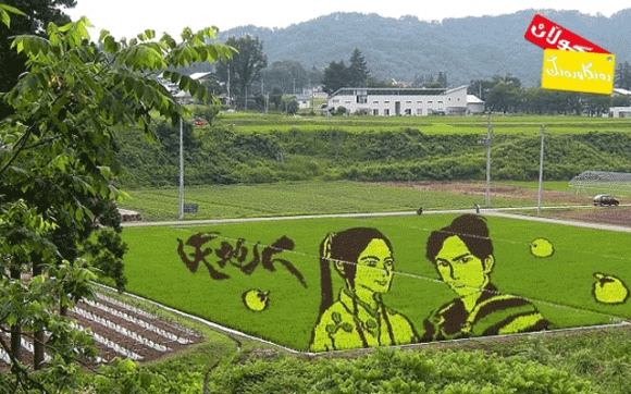 دروستكردنی تابلۆ لە كێڵگەی برنج