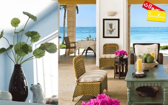 گوڵ و گوڵزار ماڵەكەت رازاوەتر دەكات