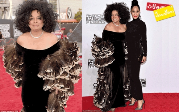 كراسێك لە شێوەی پەڕ و تووكی باڵندە