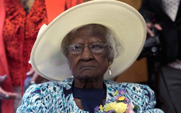 جیلی نۆسەدەكان ببینە