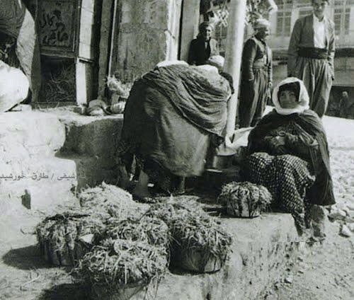 هەولێر و ماستی جاران