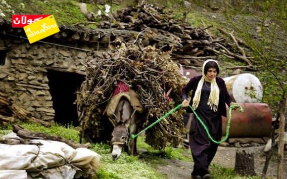 بارە داری زستانە!