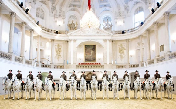 جوانترین و سەیرترین قوتابخانەی ئەسپسواری