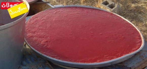 دۆشاو يان ئاوى  تەماتە!