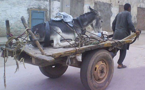 ئاخیر زەمانە!