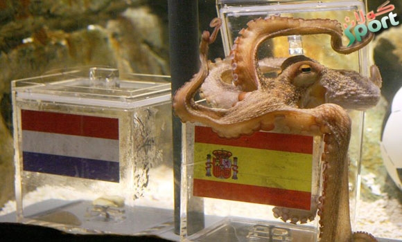 ئه‌خته‌بوته‌كه‌ كۆچی دوایی كرد