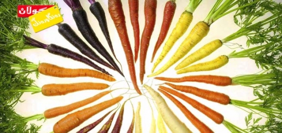 ئایا زیاد خواردنی گێزەر زیانی هەیە؟