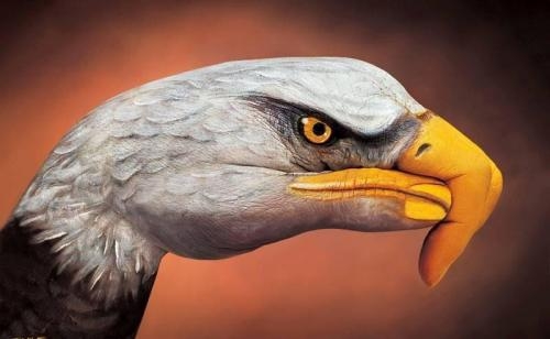 كاریكاتێرێك لە شێوەی باز لە دەستی مرۆڤ !